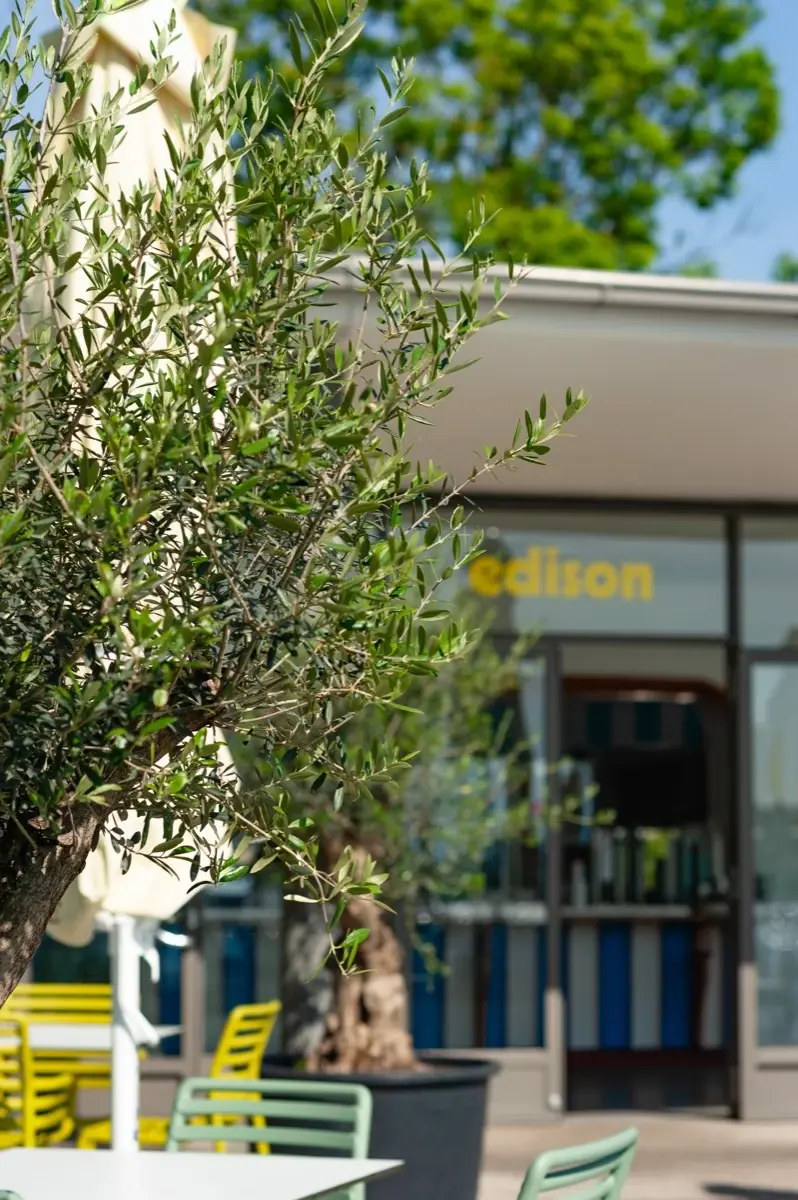 edison im Bundesbad Alte Donau – Eindrücke 5